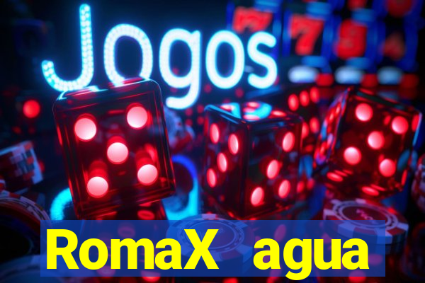 RomaX agua sanitaria fispq agua sanitaria romax